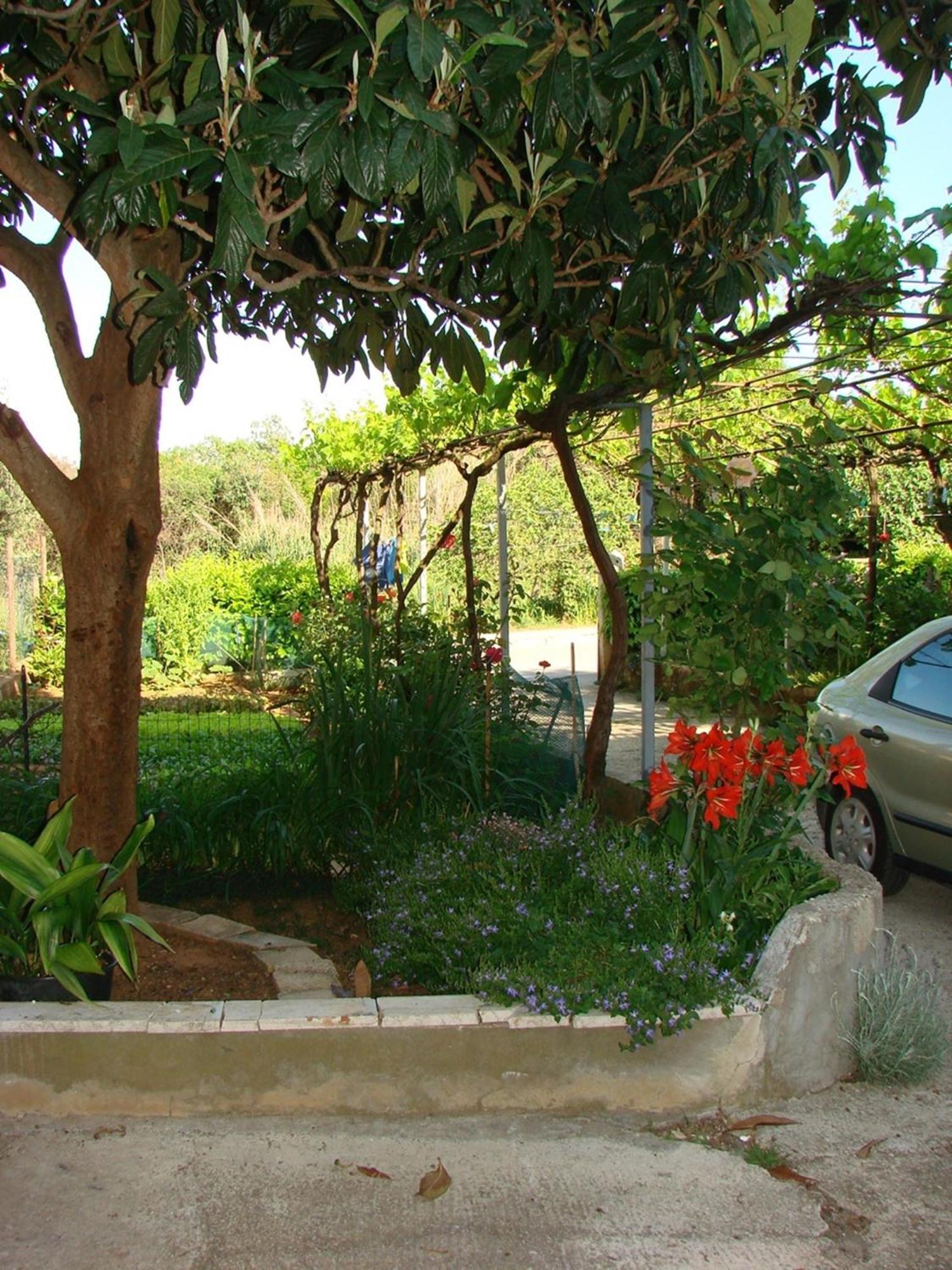 Apartment Milena Pula Phòng bức ảnh